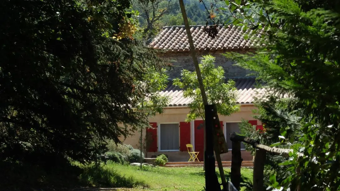 Le chant des oiseaux_4