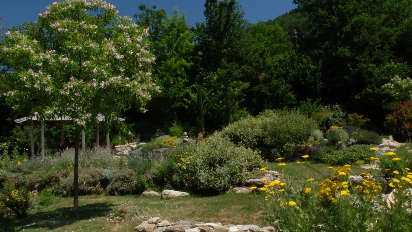 Le chant des oiseaux_11