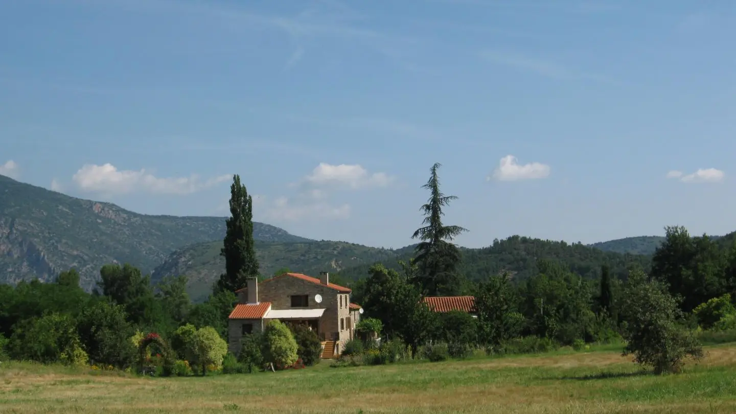 Le chant des oiseaux_23