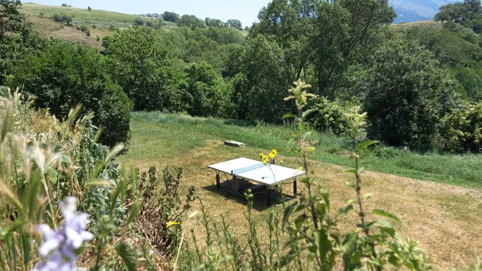 La roulotte du mas rondole_33