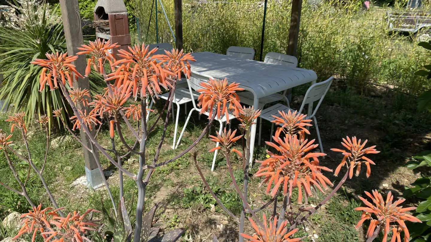 Gîte l'Olivette des Albères_30