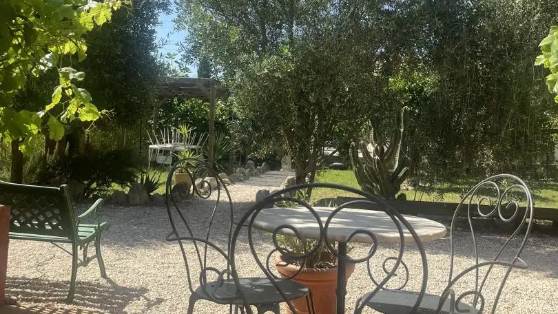 Gîte l'Olivette des Albères_29