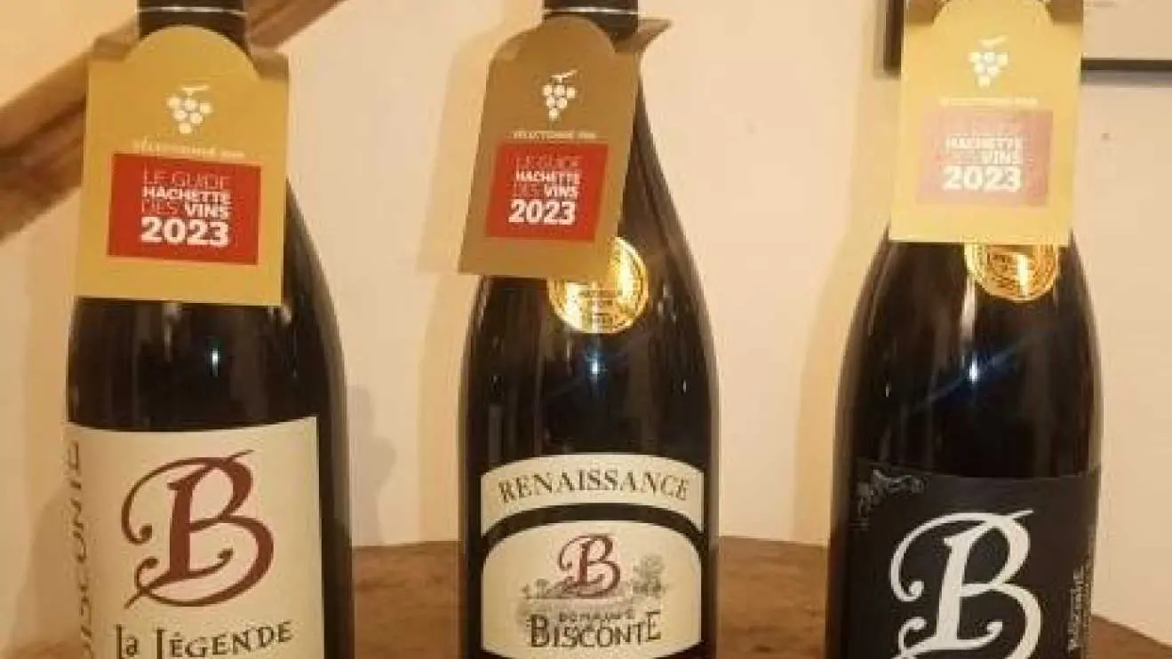 Domaine Bisconte_6