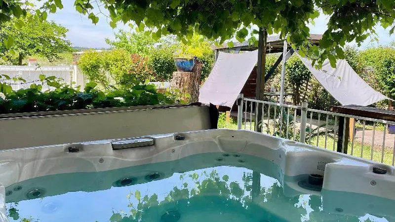 Maisonnette au cœur des vignes_10