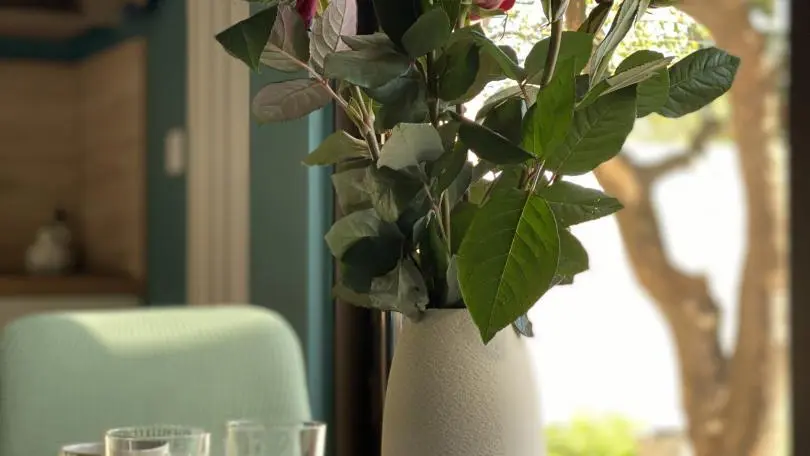 Le Mas Cazeilles - Gîte Tontouta_15