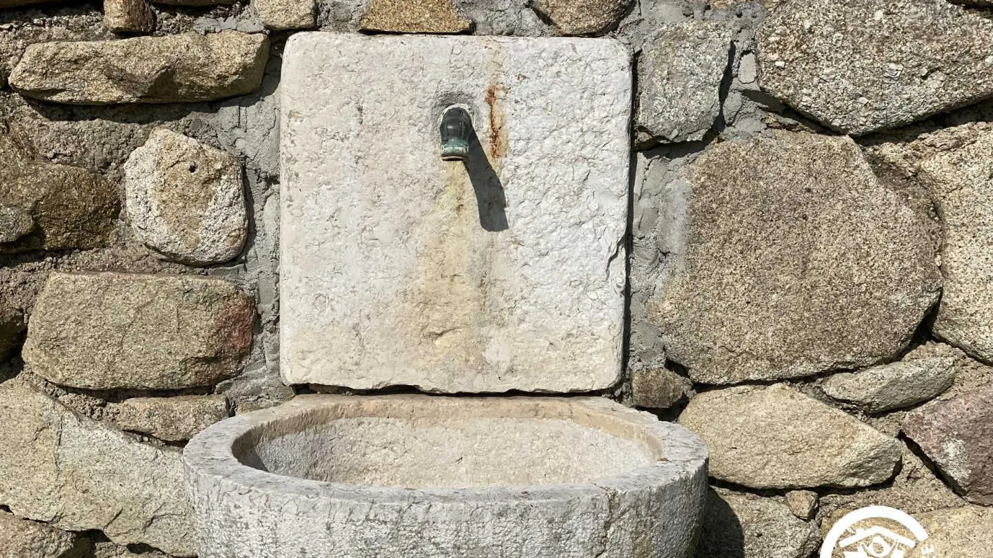 Lo Boach - Le Petit Mas_30