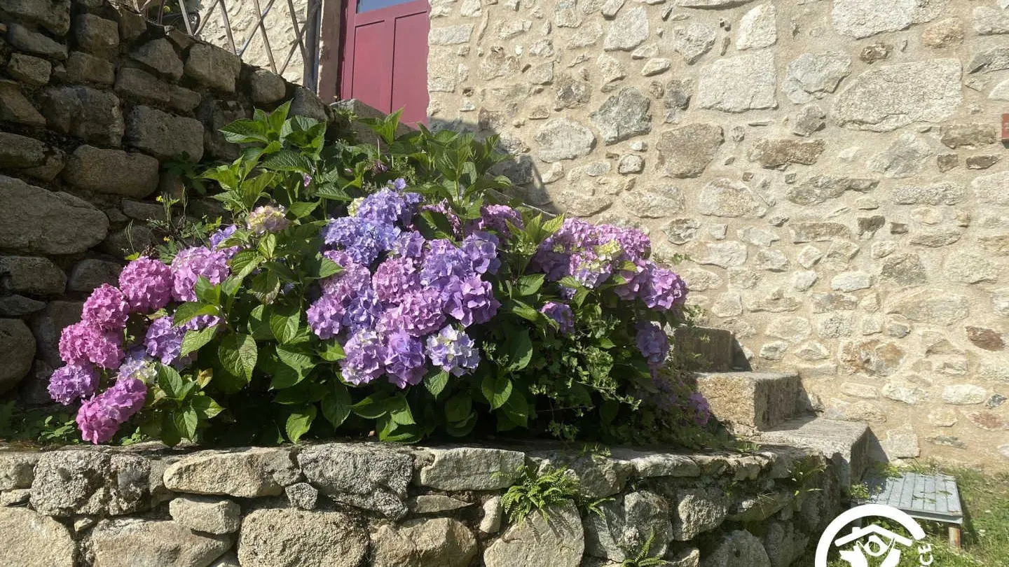 Lo Boach - Le Petit Mas_6