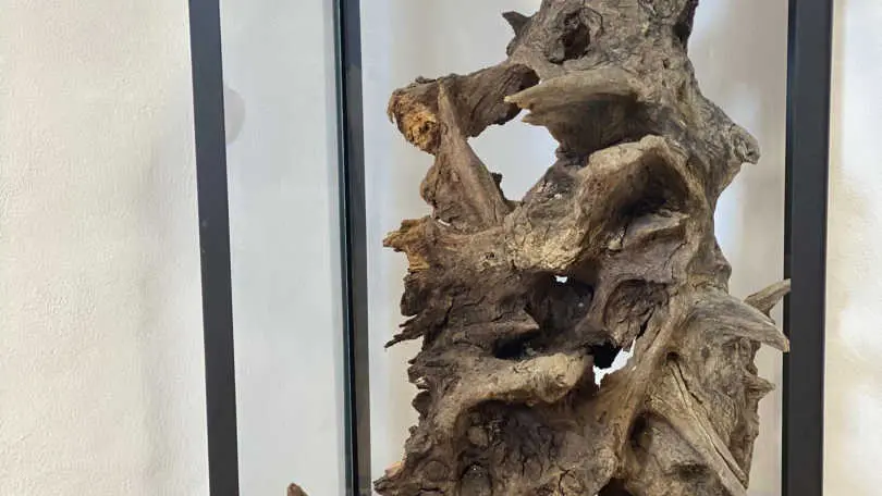 Lo Boach - Le Petit Mas_21