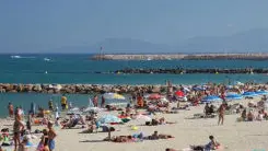 Neptune du Soleil Catalan_1