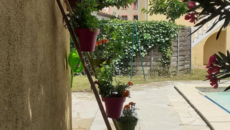 Les lauriers blancs_8