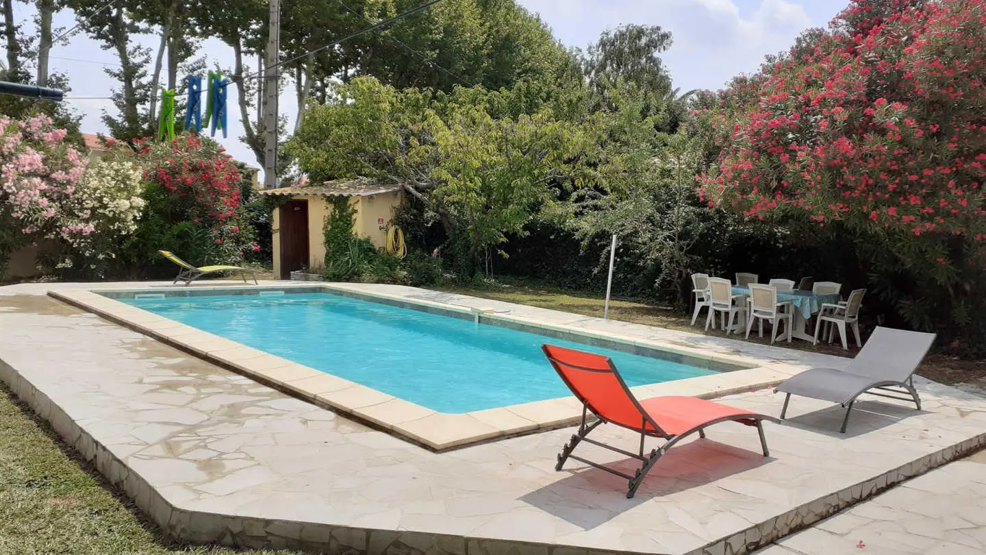 Les lauriers blancs_11