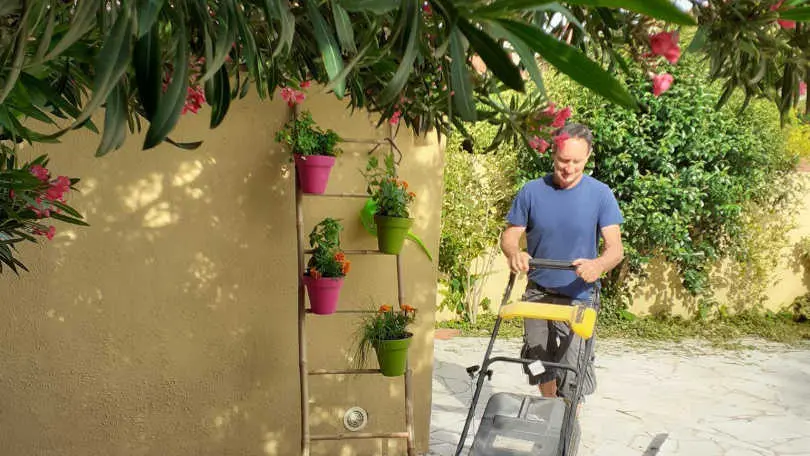 Les lauriers blancs_9