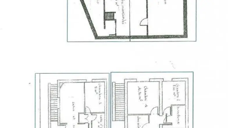 Les lauriers blancs_26