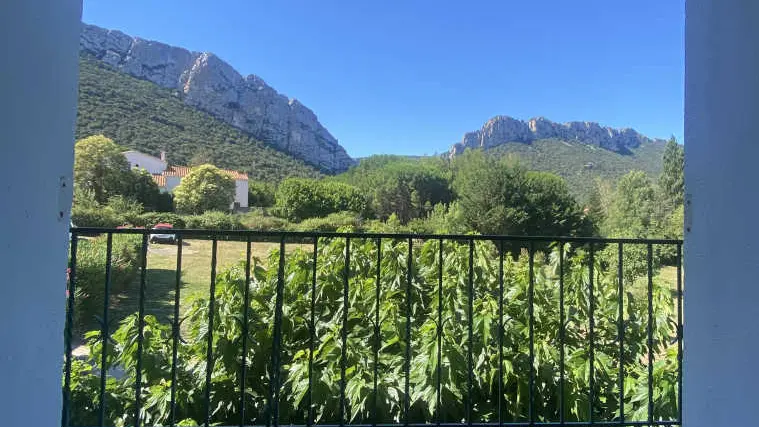 Clos de la Trille d'Arguti_13