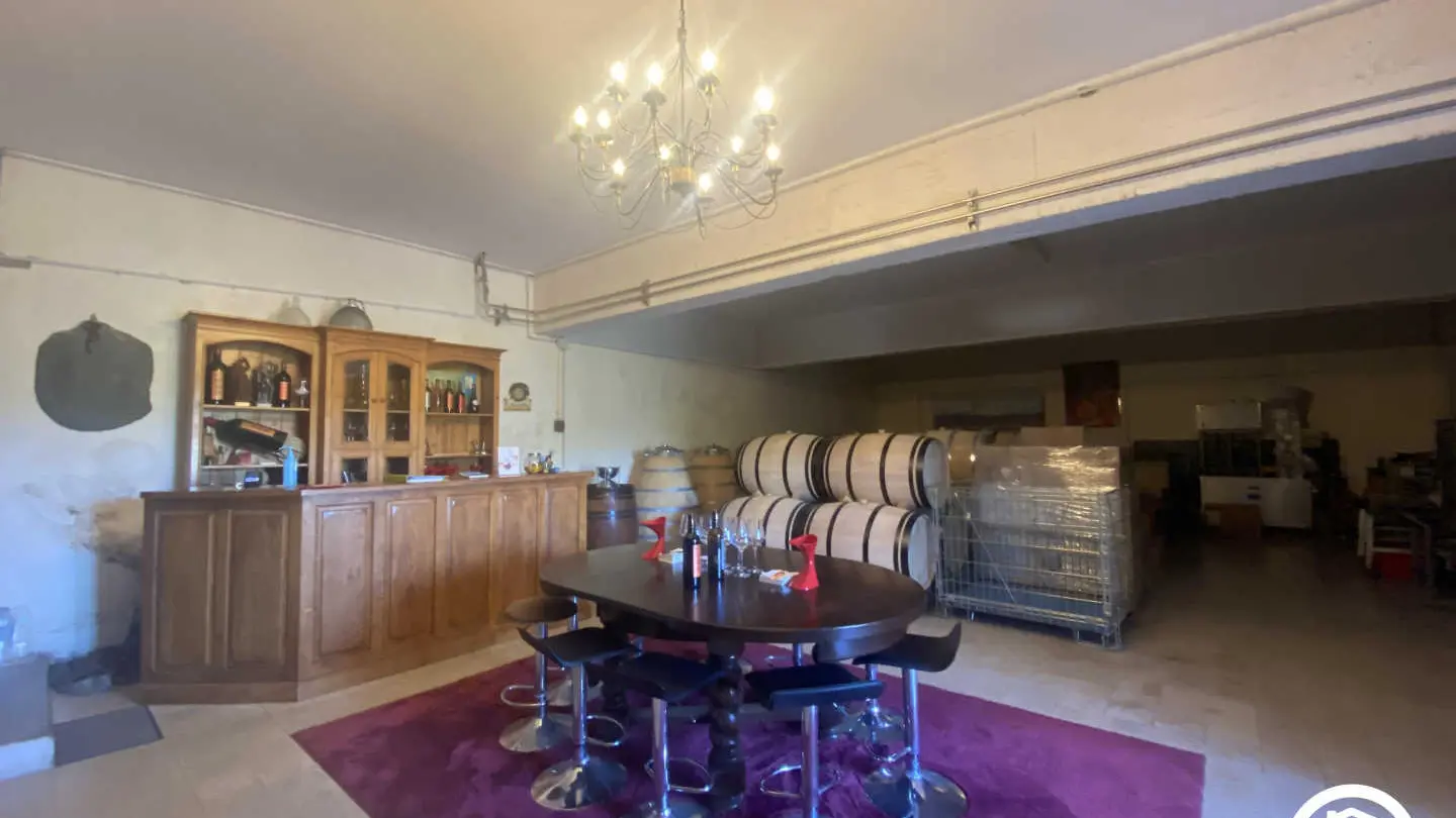 Clos de la Trille d'Arguti_32