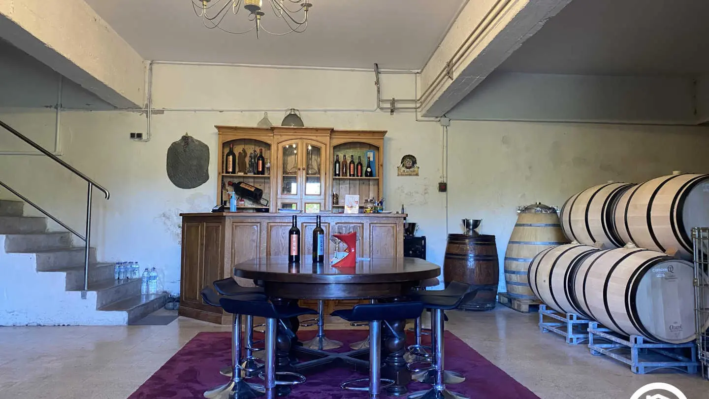 Clos de la Trille d'Arguti_19