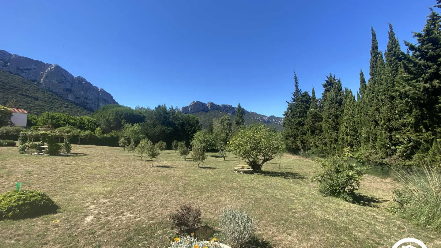 Clos de la Trille d'Arguti_31