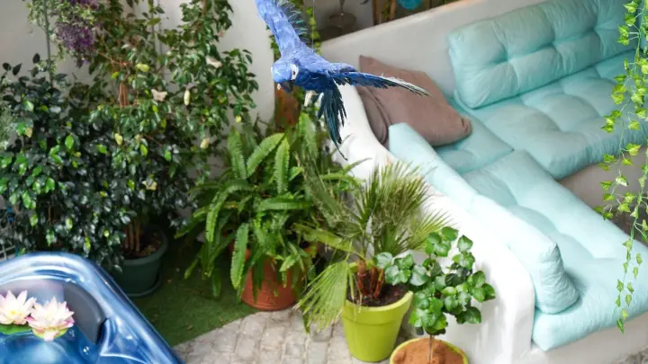 Le gîte des Tontons_11