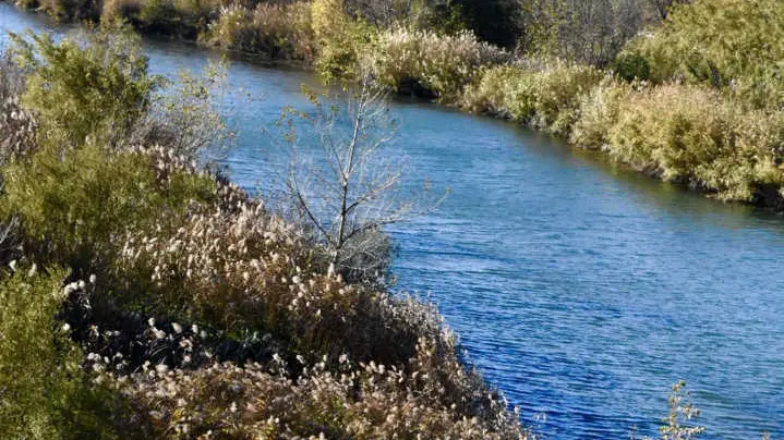 Le gîte des Tontons_39