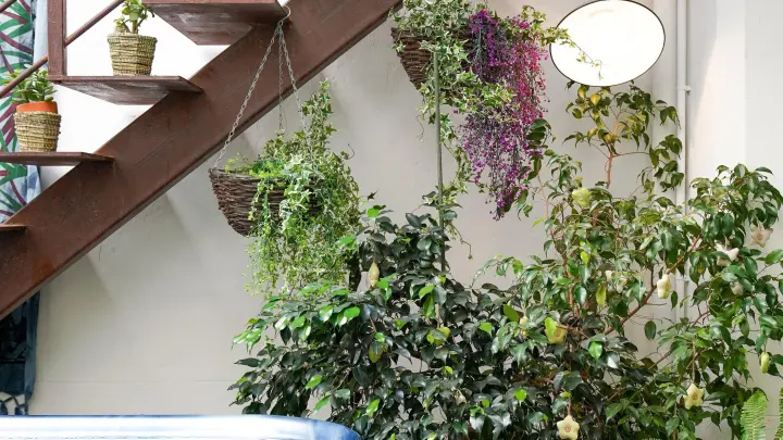 Le gîte des Tontons_8