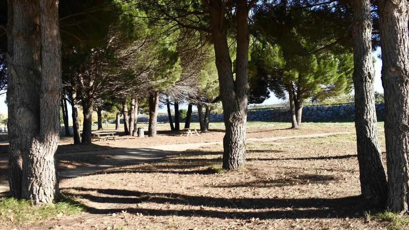 Le gîte des Tontons_38