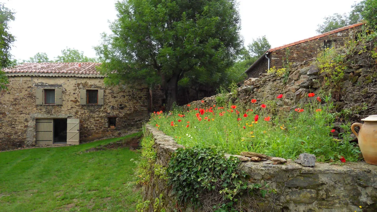 Le gîte du vieux mas_33