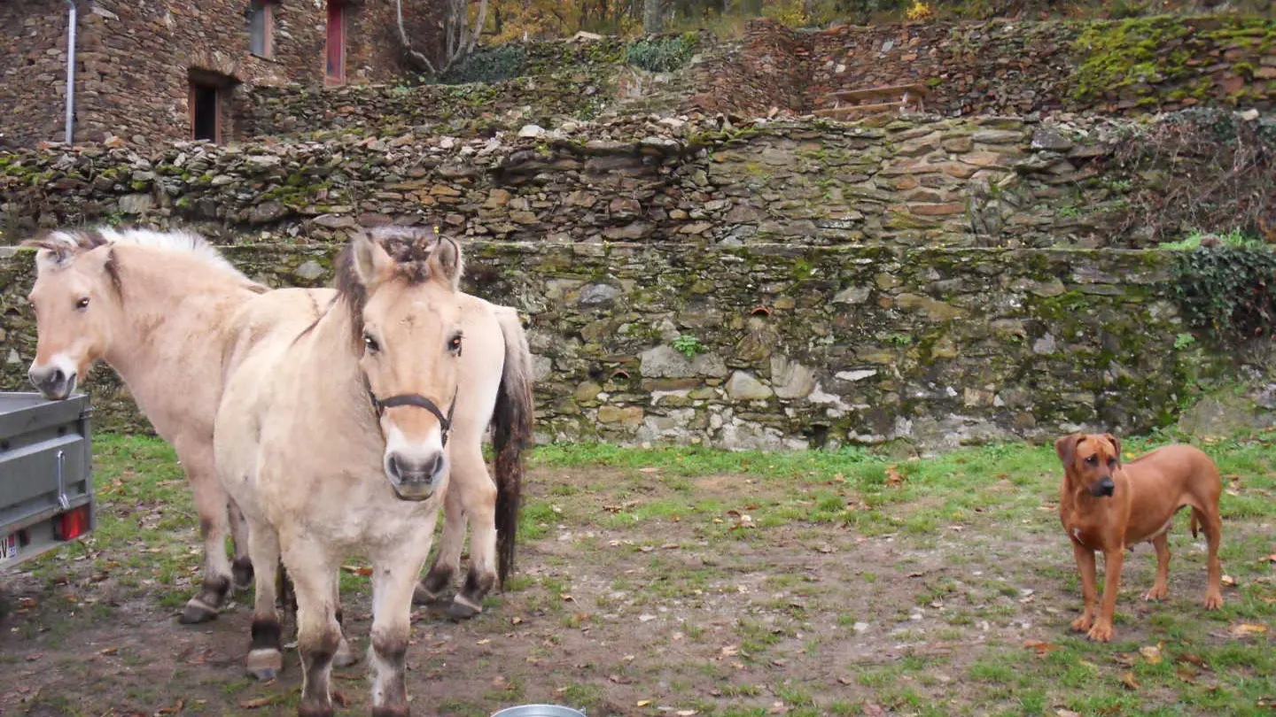 Le gîte du vieux mas_19