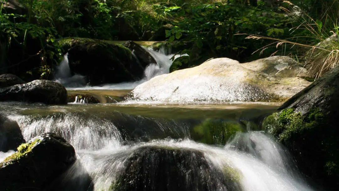 Le gîte du vieux mas_14