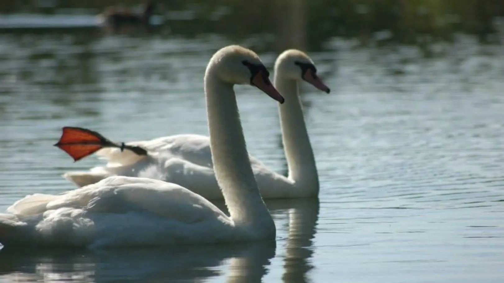 Château Nadalhainaut_46