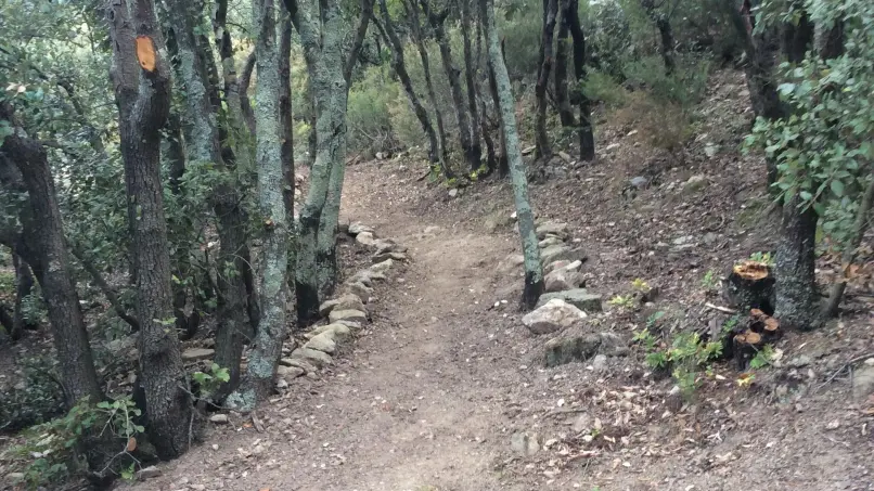 Le mas des cistes_27