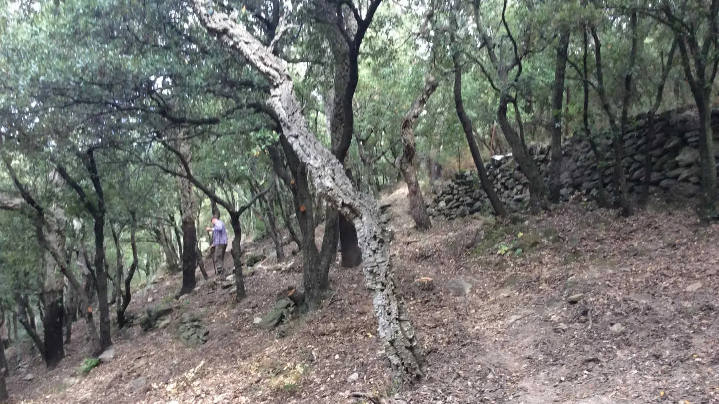 Le mas des cistes_28