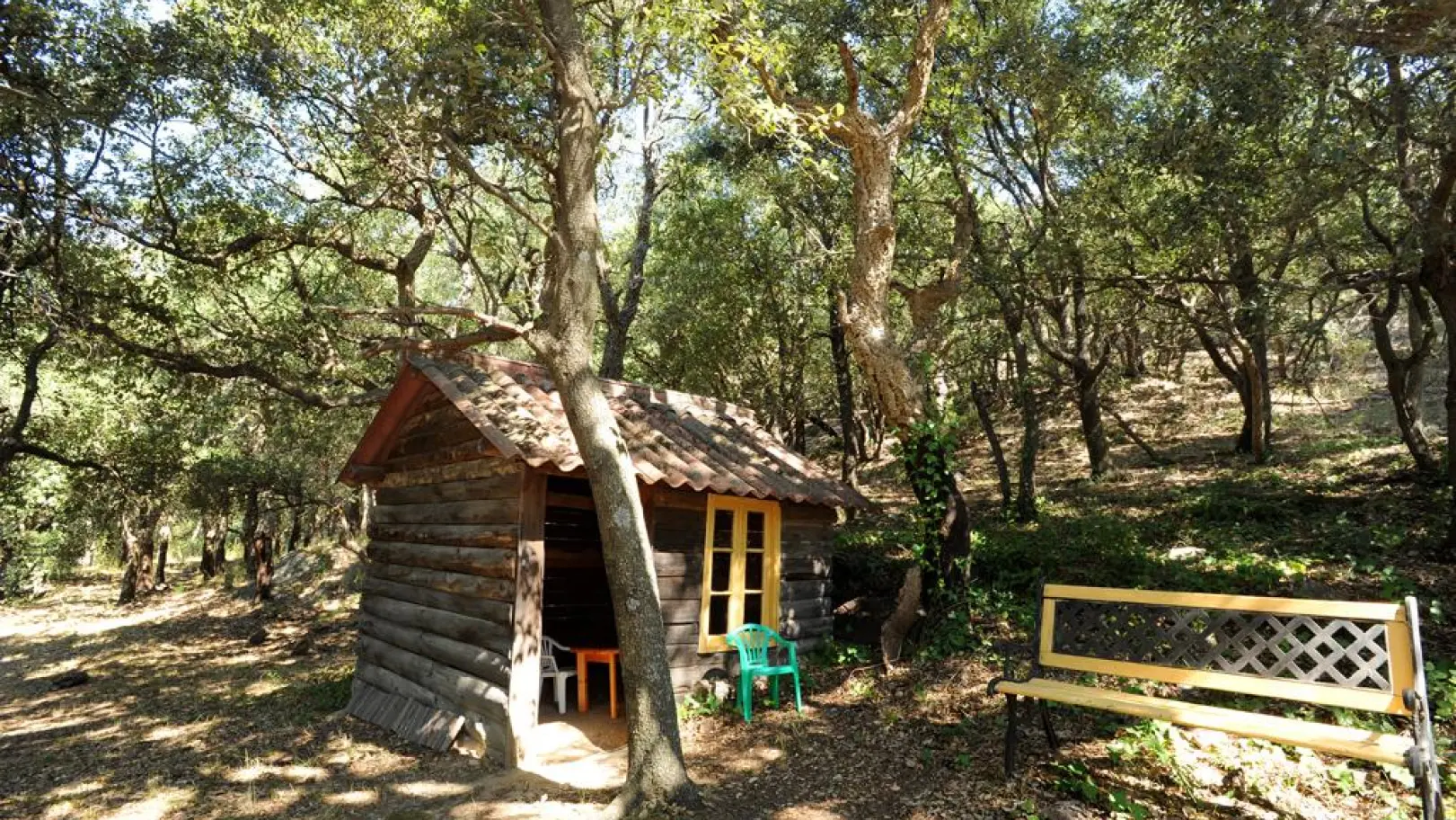 Le mas des cistes_51