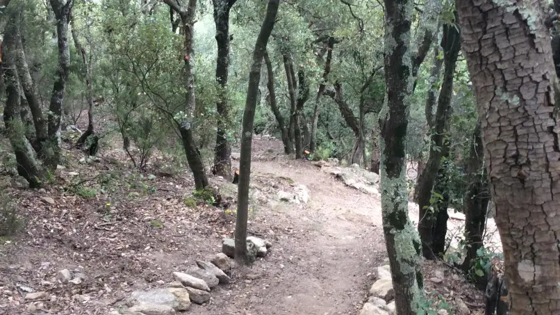 Le mas des cistes_25