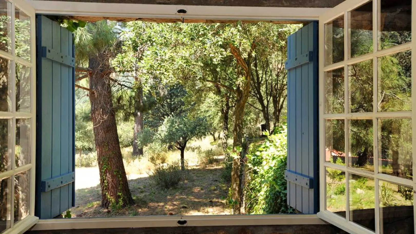 Le mas des cistes_54