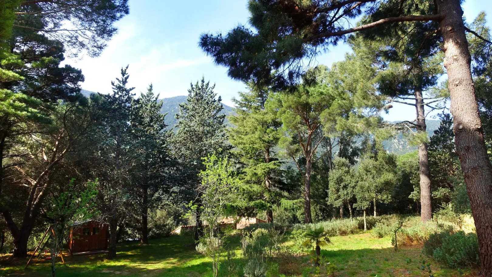 Le mas des cistes_23