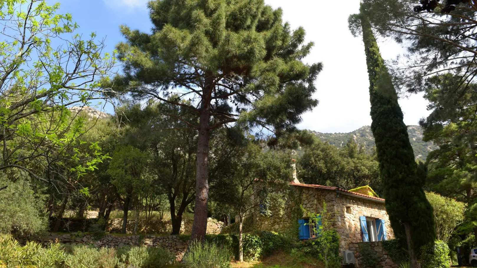 Le mas des cistes_2