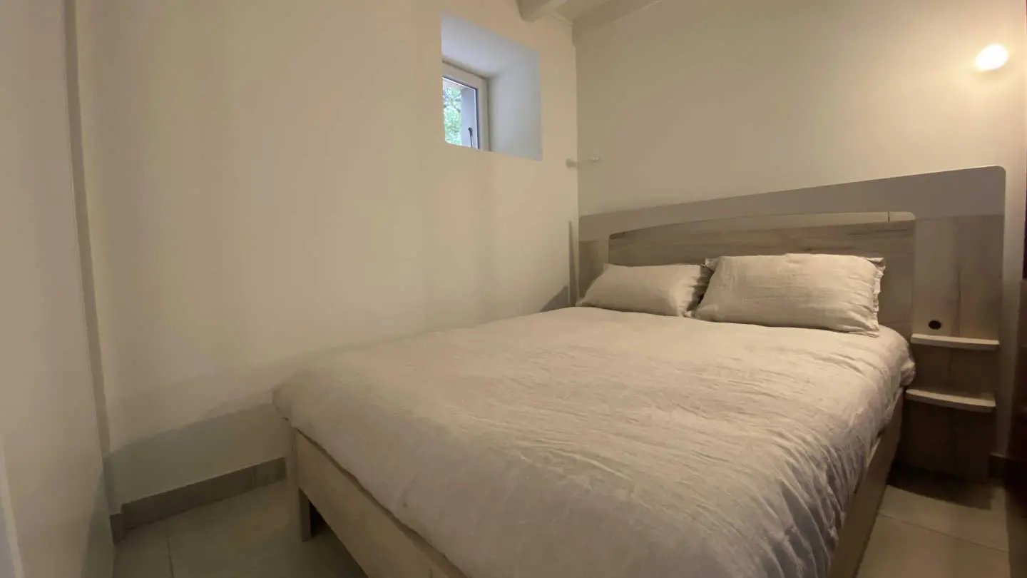 Le réveil des oiseaux_3