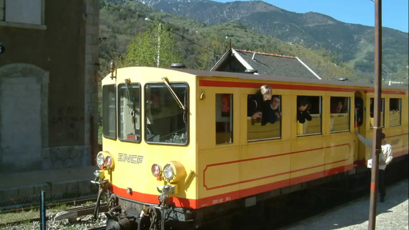 Le Chardon de Soleil_39