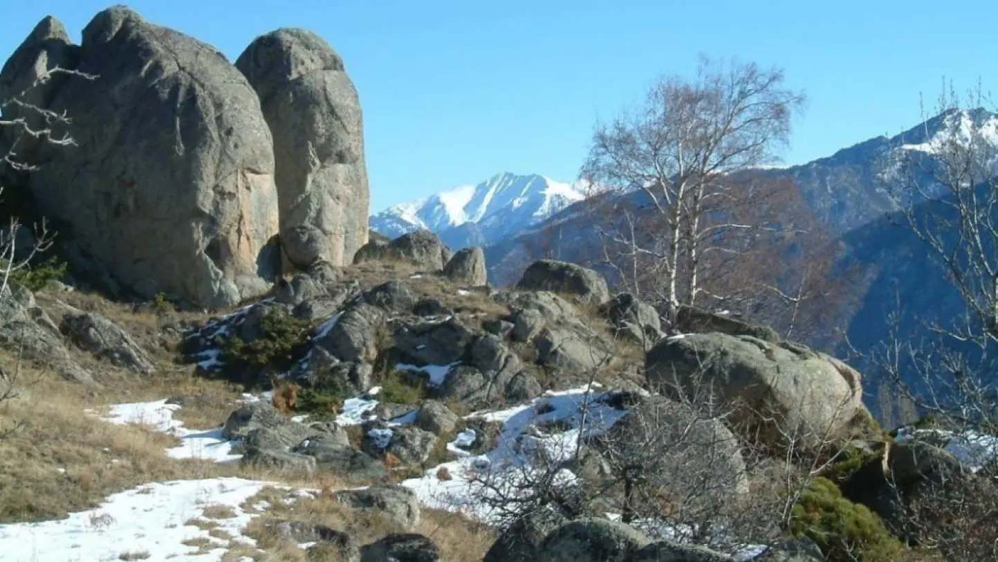 Le Chardon de Soleil_35