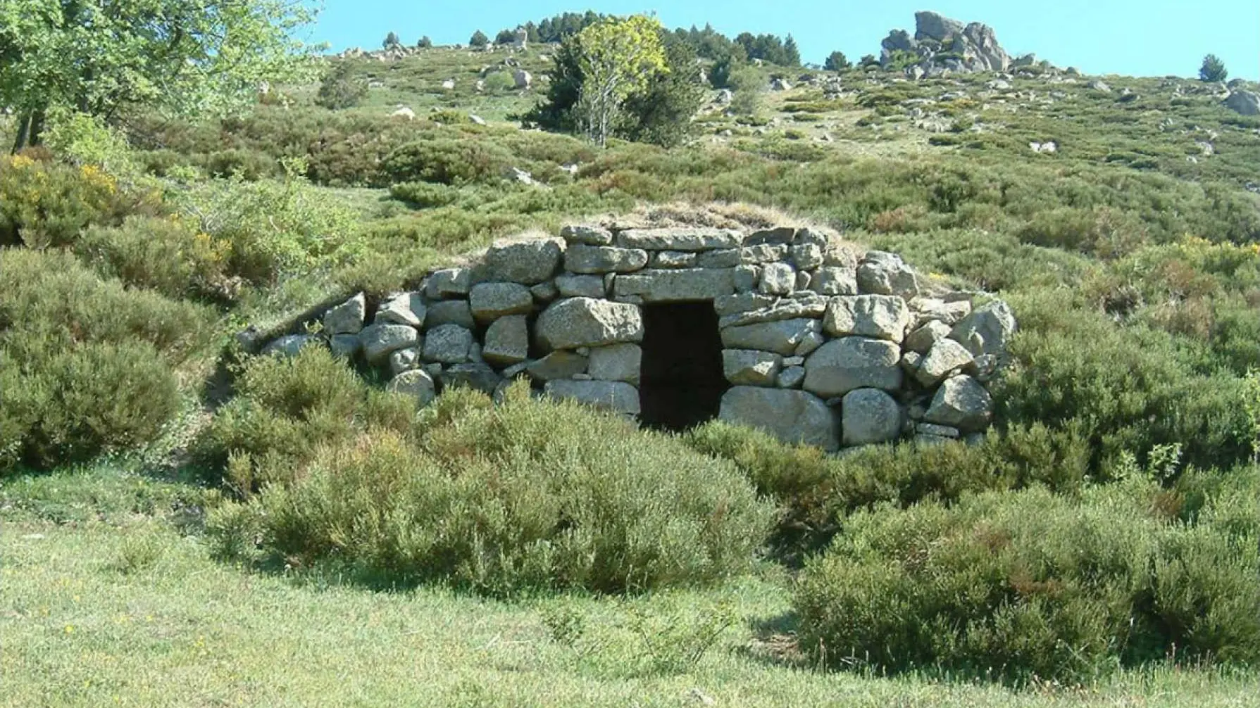 Le Chardon de Soleil_42