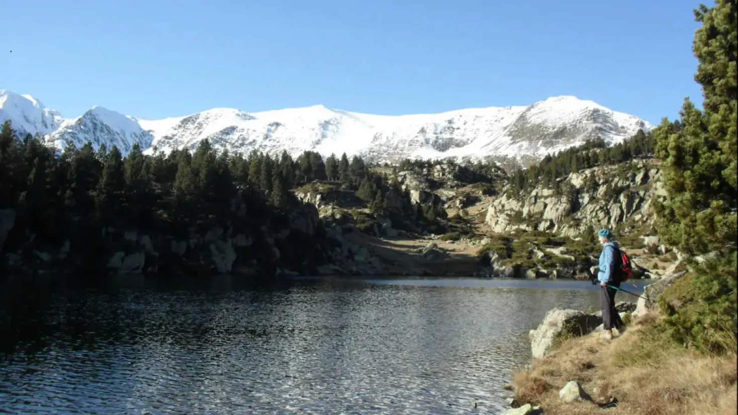 Le Chardon de Soleil_38