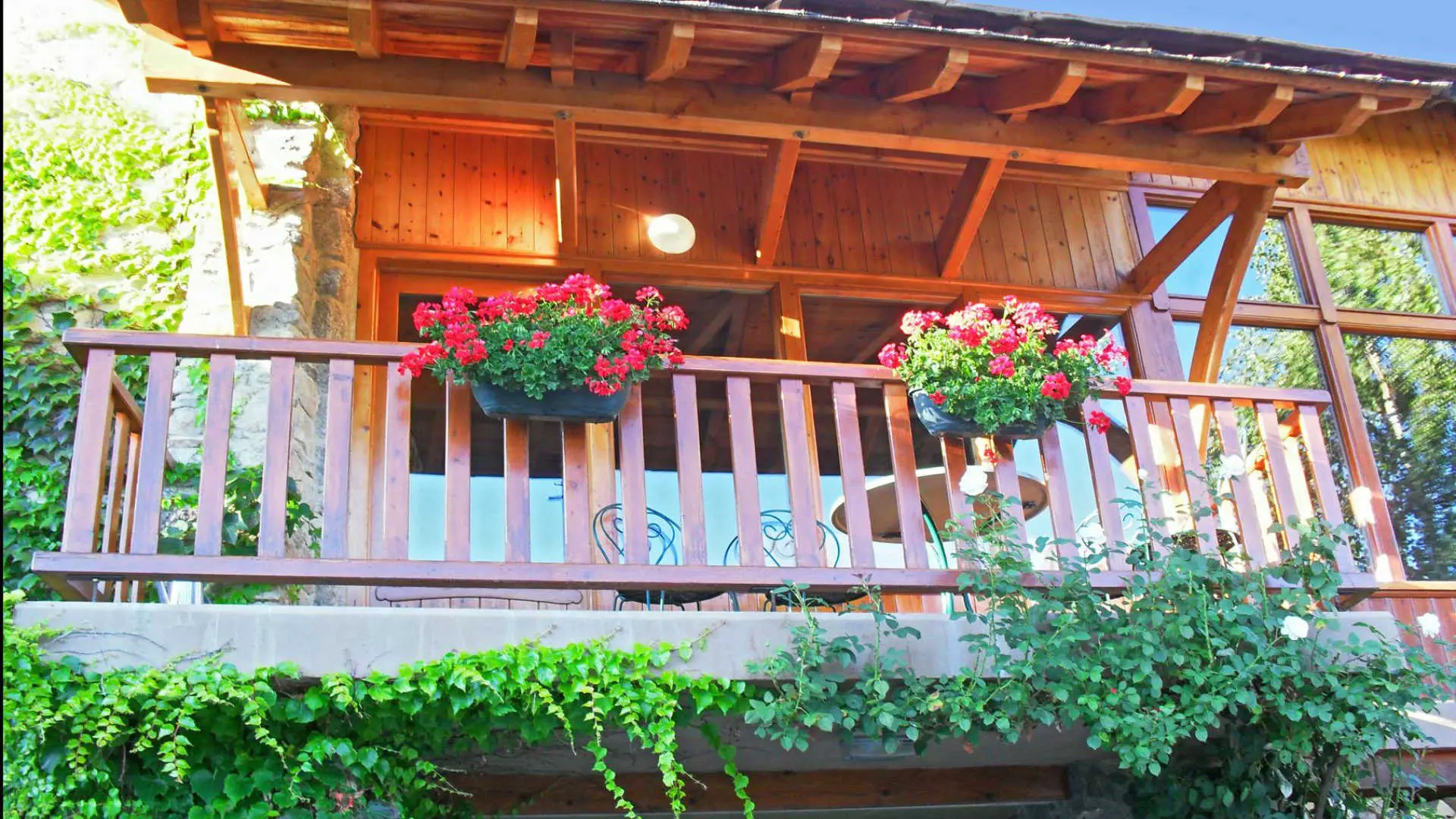 Le Chardon de Soleil_11