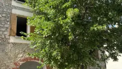 La maison au tilleul_1