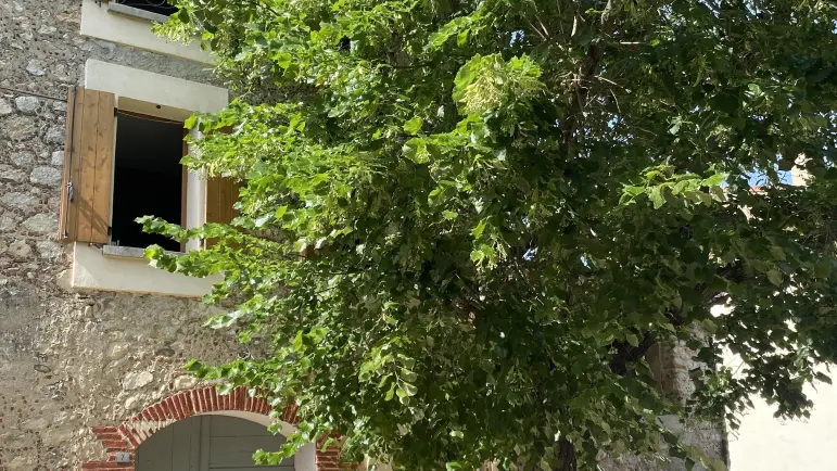 La maison au tilleul_2