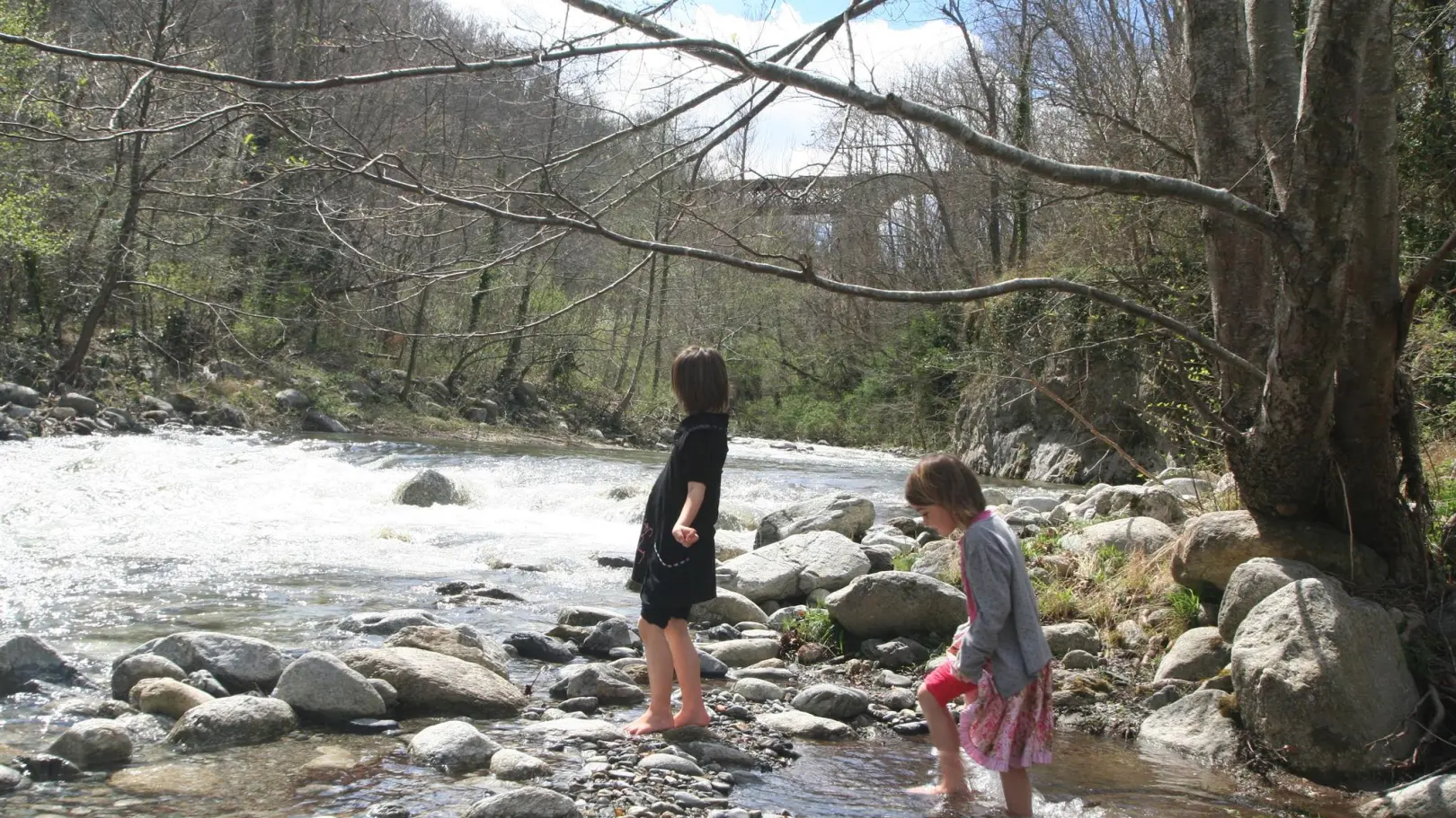 Mas manyaques - la terrasse_37