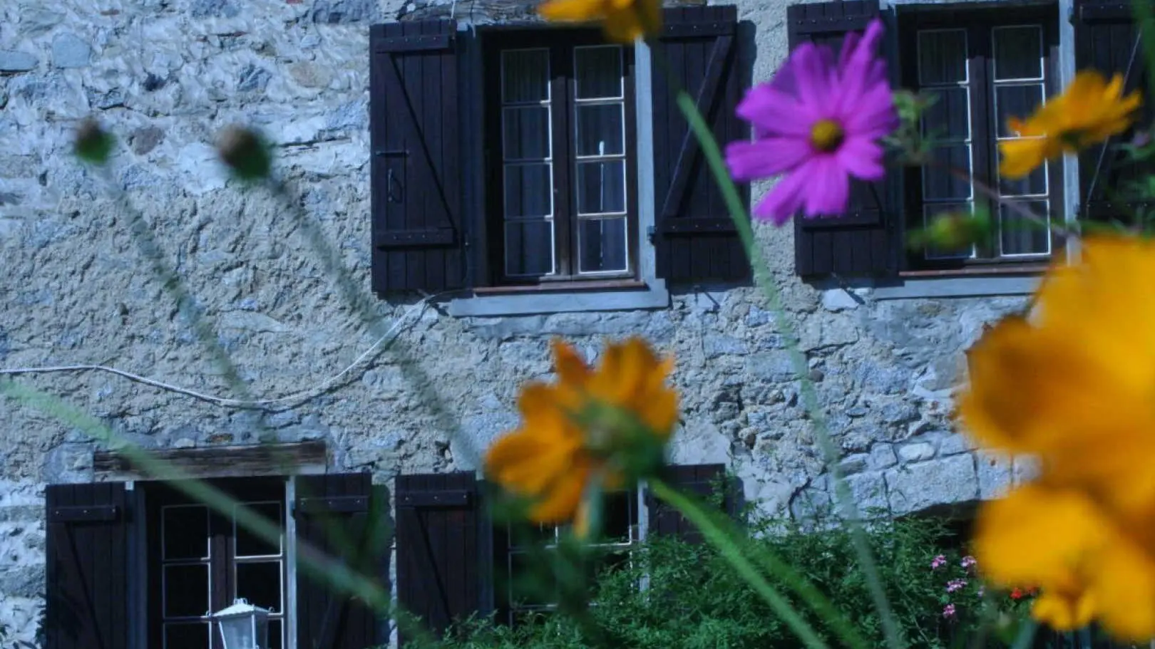 Mas manyaques - la terrasse_45