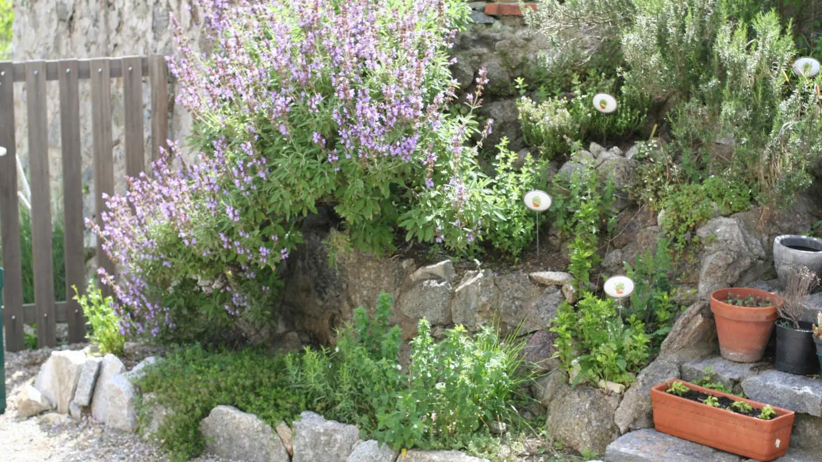 Mas manyaques - la terrasse_23