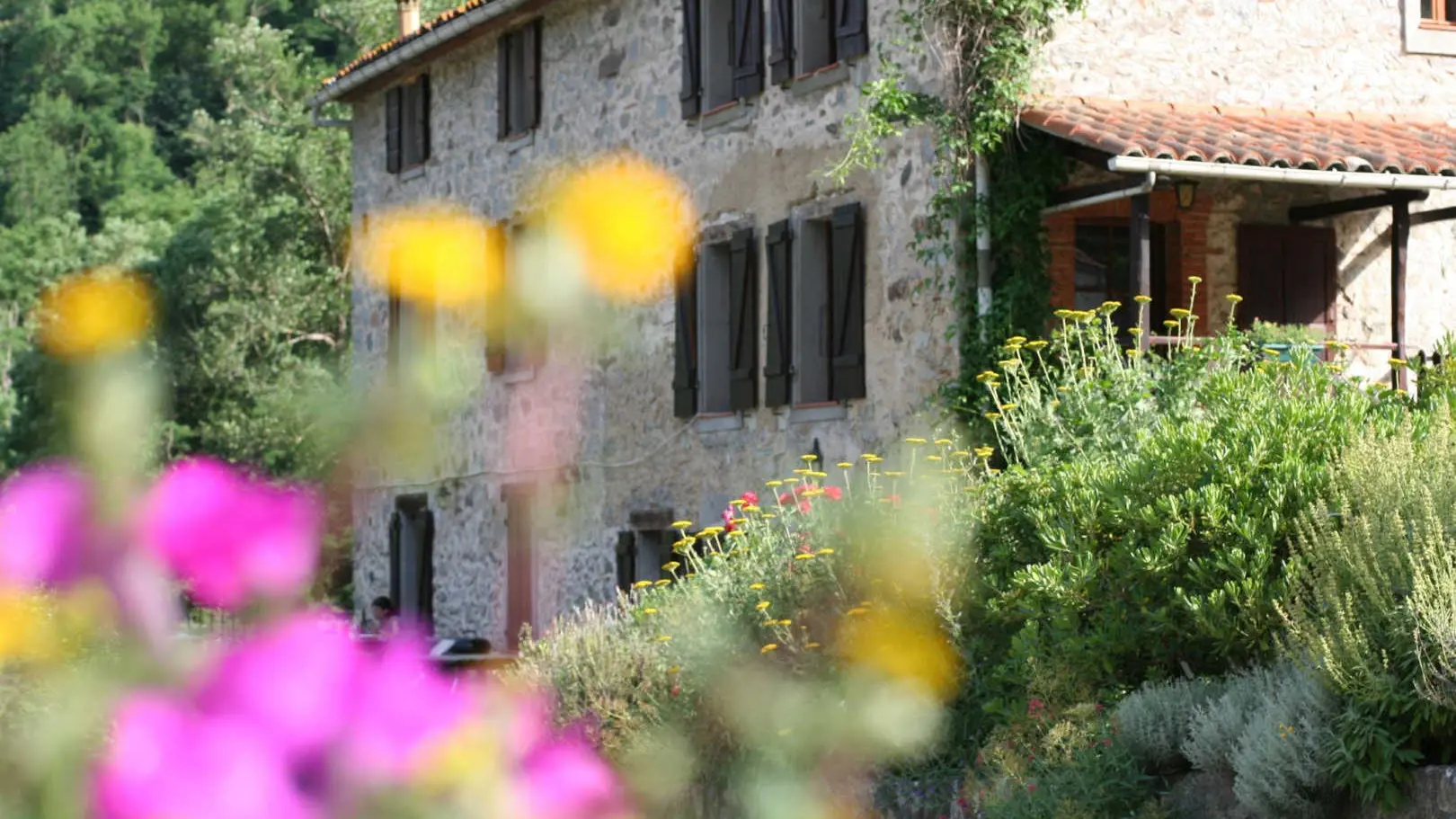 Mas manyaques - la terrasse_34