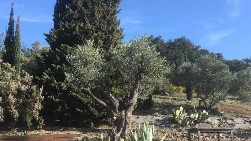 L'Atelier de Canterrane_13