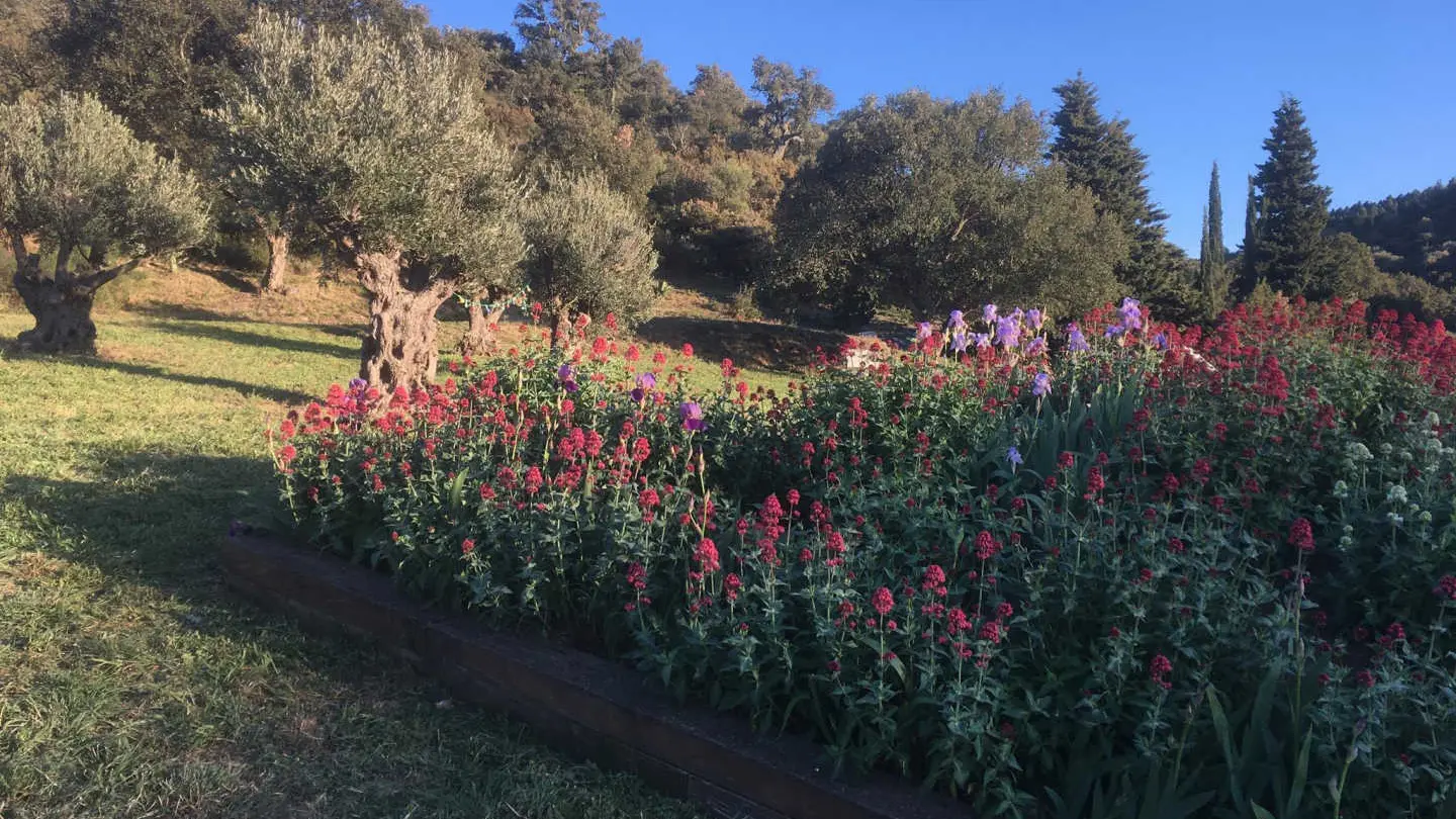 L'Atelier de Canterrane_16